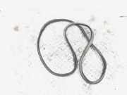 Schubstrebe Audi A6 Avant 4G, C7 4G9827705D