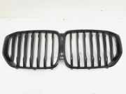 Kühlergrill BMW X5 G05, F95 20240015061