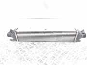 Ladeluftkühler Fiat Doblo Kasten 263 866455500