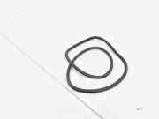 Türgummi rechts vorne VW Polo VI AW 2G4867912C