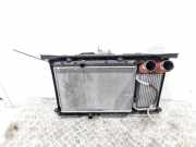 Kühlpaket Peugeot RCZ 1330S8