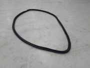 Türgummi rechts vorne VW T-Cross C11 2GM867912B