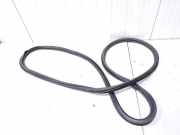 Türgummi links vorne Audi A1 8X 8X3831721B