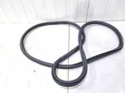 Türgummi rechts vorne Audi A1 8X 8X3831722B