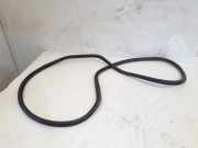 Türgummi rechts vorne VW Golf VI 5K 5K4867911