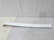 Zierleiste Mercedes-Benz Vito/Mixto Kasten W639 A6396913108