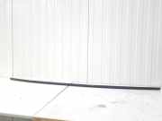 Dachzierleiste links BMW 1er F21 51137319535