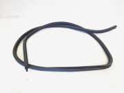 Türgummi rechts vorne VW Golf VI Variant AJ5 1K5867911