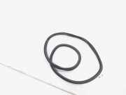 Türgummi rechts hinten VW Polo VI AW 2G6867914C