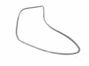 Türgummi rechts hinten Toyota C-HR X1