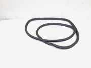 Türgummi rechts vorne VW Passat B7 Variant 365 3C4867911C