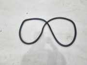 Türgummi rechts hinten Audi Q3 8U 8U0833721A