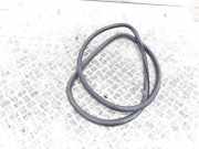 Türgummi rechts vorne VW Passat B6 Variant 3C5 3C4867911C