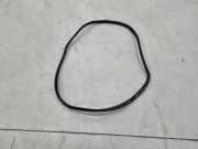 Türgummi rechts vorne BMW 2er Active Tourer F45 51357420077