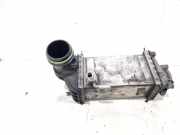 Ladeluftkühler VW Golf VIII CD 05C145785C