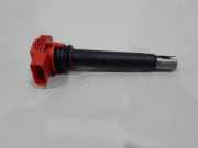 Zündspule Audi A8 4H 0221604800
