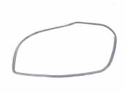 Türgummi links hinten Toyota C-HR X1