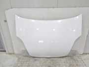 Motorhaube Fiat Doblo Kasten 263 51810378