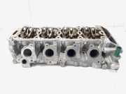 Zylinderkopf VW Golf VI 5K 030109423