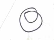 Türgummi rechts hinten Fiat 500L 351 51882542