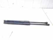 Gasfeder für Motorhaube Audi A4 Avant 8W, B9 8W0823359B