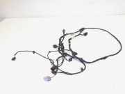 Kabelbaum VW Passat B7 Variant 365 3AA971095S