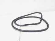 Türgummi rechts hinten Porsche Panamera 1 970 97053626601