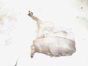 Behälter Scheibenwaschanlage Mercedes-Benz M-Klasse W164 A1648600960