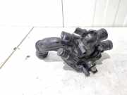 Thermostatgehäuse Peugeot RCZ 9810916980