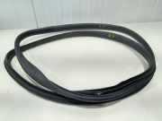 Türgummi rechts vorne Volvo V50 545 8663911