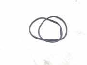 Türgummi links hinten Fiat 500L 351 51882543