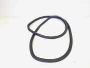 Türgummi links hinten VW Golf V 1K 1K6867911