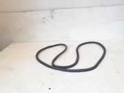 Türgummi rechts vorne Audi Q5 8R 8R0831721E