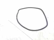 Türgummi links vorne Skoda Rapid NH 5JA867365G