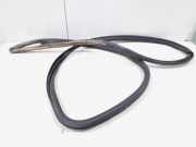 Türgummi rechts vorne Toyota C-HR X1 62311F4010