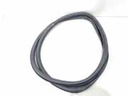 Türgummi links vorne Audi Q4 e-tron F4B 11A867911C