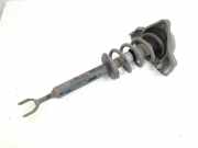 Stoßdämpfer links vorne Audi A6 Avant 4F, C6 4F0413031BR