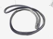 Türgummi links vorne Toyota C-HR X1 62312F4010