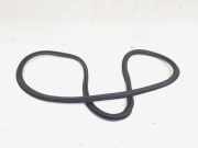 Türgummi rechts hinten Audi A3 Sportback 8V 8V4833721