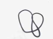 Türgummi rechts vorne VW Golf V Plus 5M, 521 5M0867911E