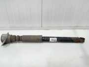 Stoßdämpfer links hinten Audi A6 4G, C7 4G5513035