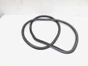 Türgummi rechts vorne Audi A4 Avant 8K, B8 8K0831721