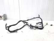 Kabelbaum Peugeot RCZ 5642TH