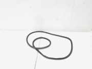 Türgummi links vorne Porsche Panamera 1 970 97053726501