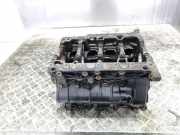 Motor ohne Anbauteile (Benzin) Audi A6 Avant 4G, C7 04L100091R