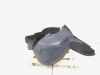 Radhaus Seat Ibiza IV SportCoupe 6J 6P0809958 Bild Radhaus Seat Ibiza IV SportCoupe 6J 6P0809958