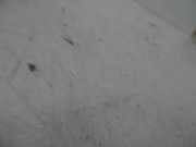 Anlasser VOLVO V40 Kombi (645) 30620657