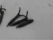 Einspritzdüse VOLVO S80 (TS) 0432193616