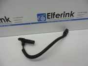 Sensor für Nockenwelle VOLVO V40 Schrägheck (525, 526) 31319621