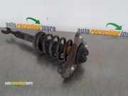 Federbein links vorne Audi A4 8E, B7 8E0413031CT